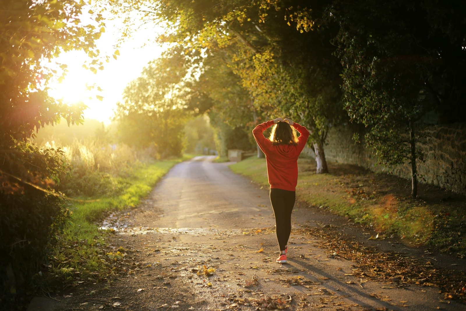 A woman on a morning walk down a sunlit tree-lined path, seen from behind